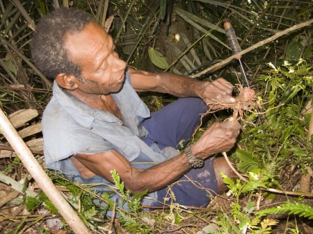 Tagtap showing us where to find wild yams