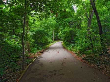 Madang – Ples Bilong Mi » Blog Archive » Central Park in New York City